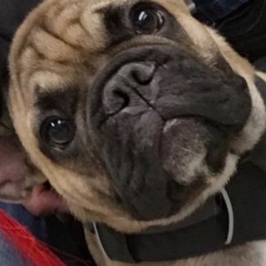 Meet your Posher, Julio